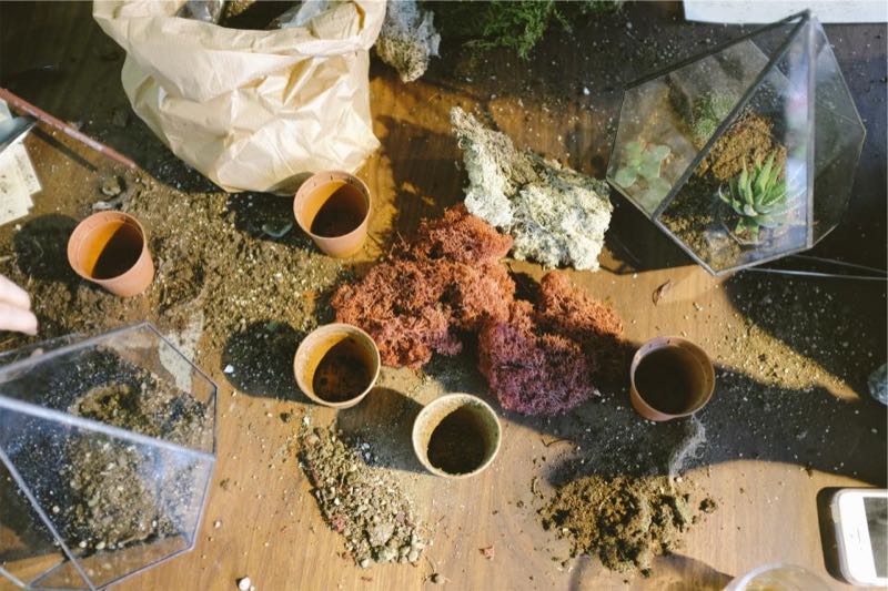 Workshop table with small pots, soil and glass terrariums